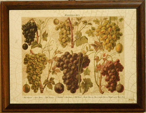 Картина  5493 1 гроздья винограда картина для кухни