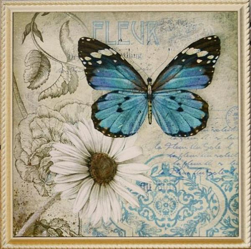 Картина  5112 B предметная композиция с бабочкой в стиле прованс