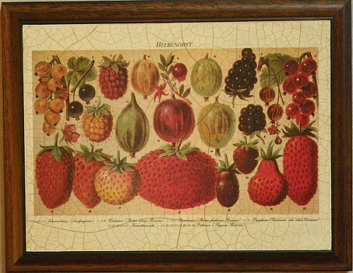 Картина  5493 4 с ягодами для кухни