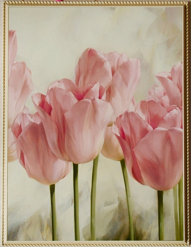 Картина  5400 В с розовыми тюльпанами в белой раме