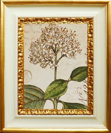 Картина 36786 B  Дерево в красивых деревянных рамах купить в Москве - spaziodecor.ru
